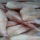 makanan laut ekor monkfish beku kualitas jangka panjang